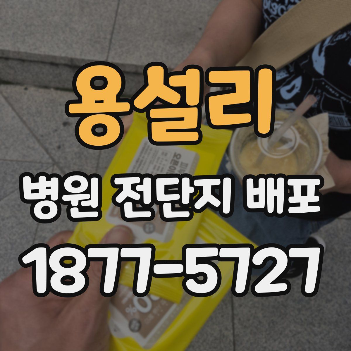 용설리 병원 전단지 배포