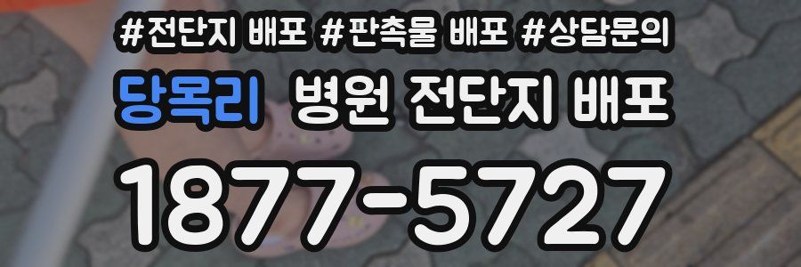 당목리 병원 전단지 배포