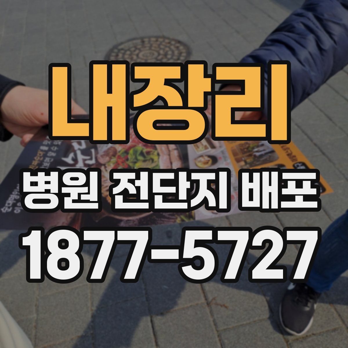 내장리 병원 전단지 배포