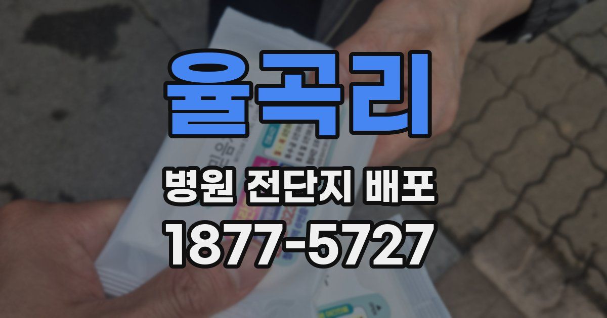 율곡리 병원 전단지 배포