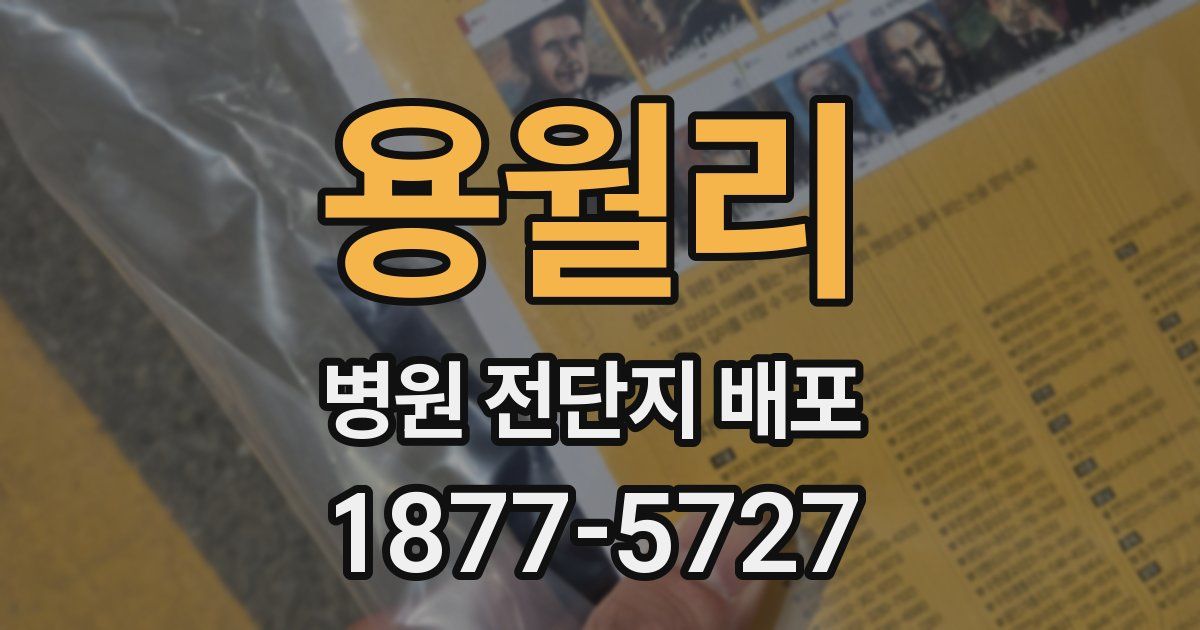 용월리 병원 전단지 배포