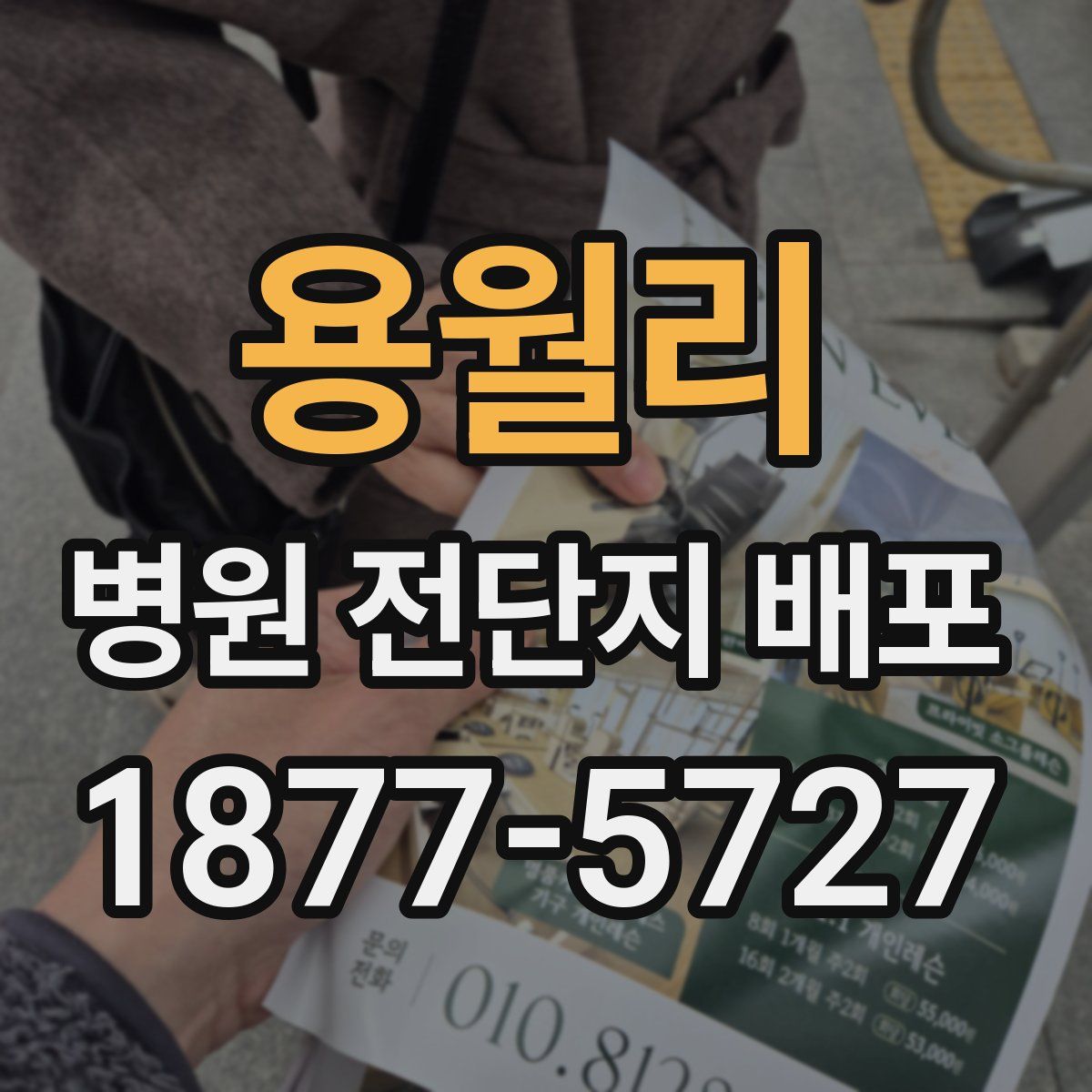 용월리 병원 전단지 배포