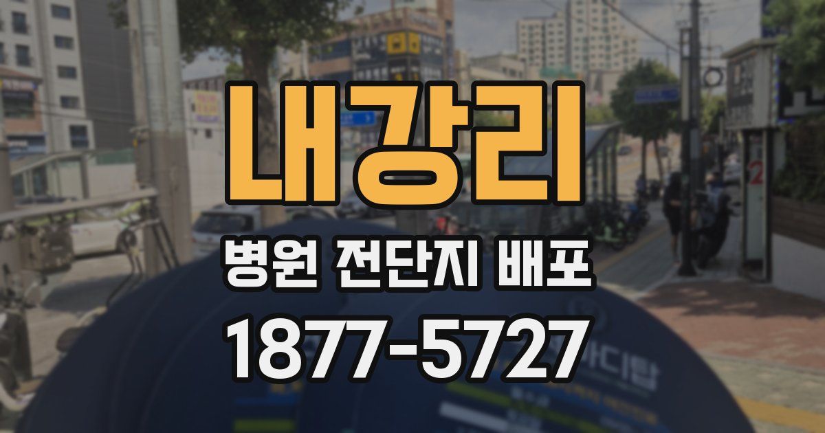 내강리 병원 전단지 배포