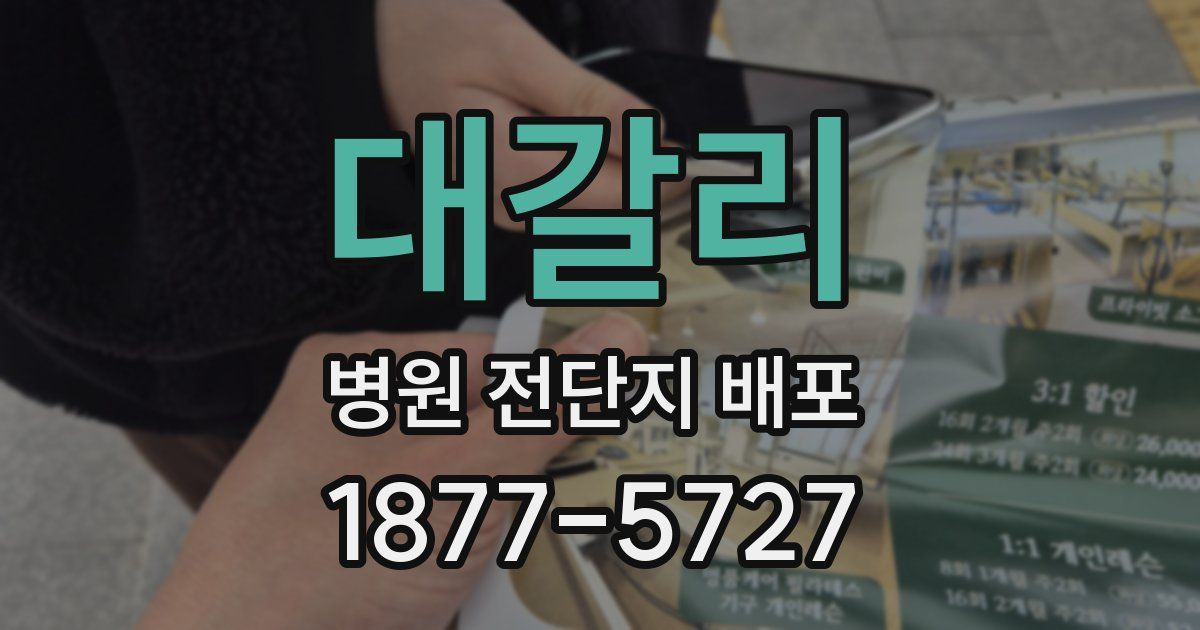 대갈리 병원 전단지 배포