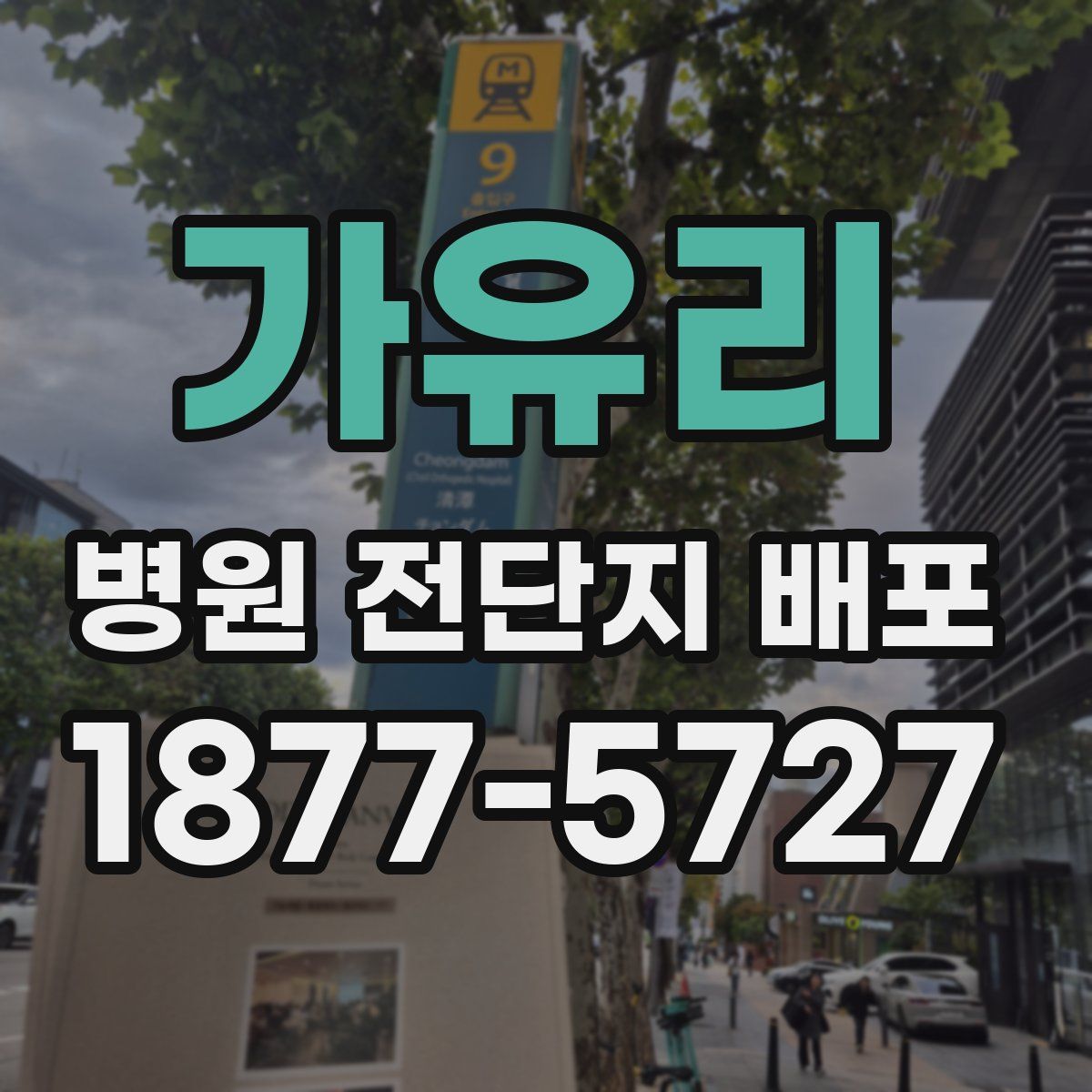 가유리 병원 전단지 배포