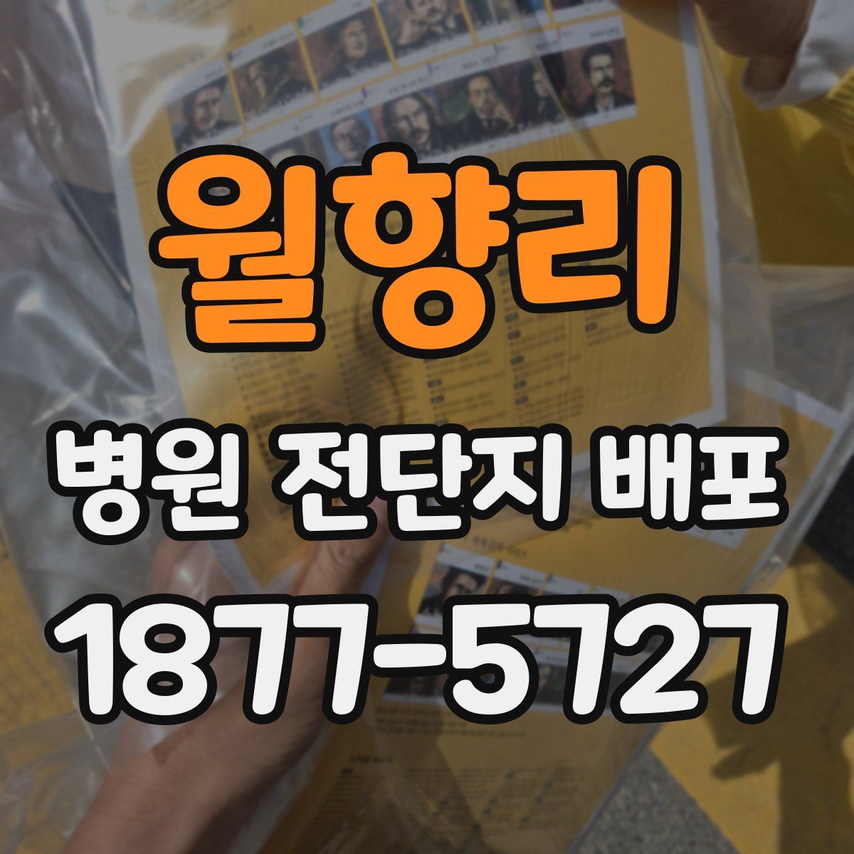 월향리 병원 전단지 배포