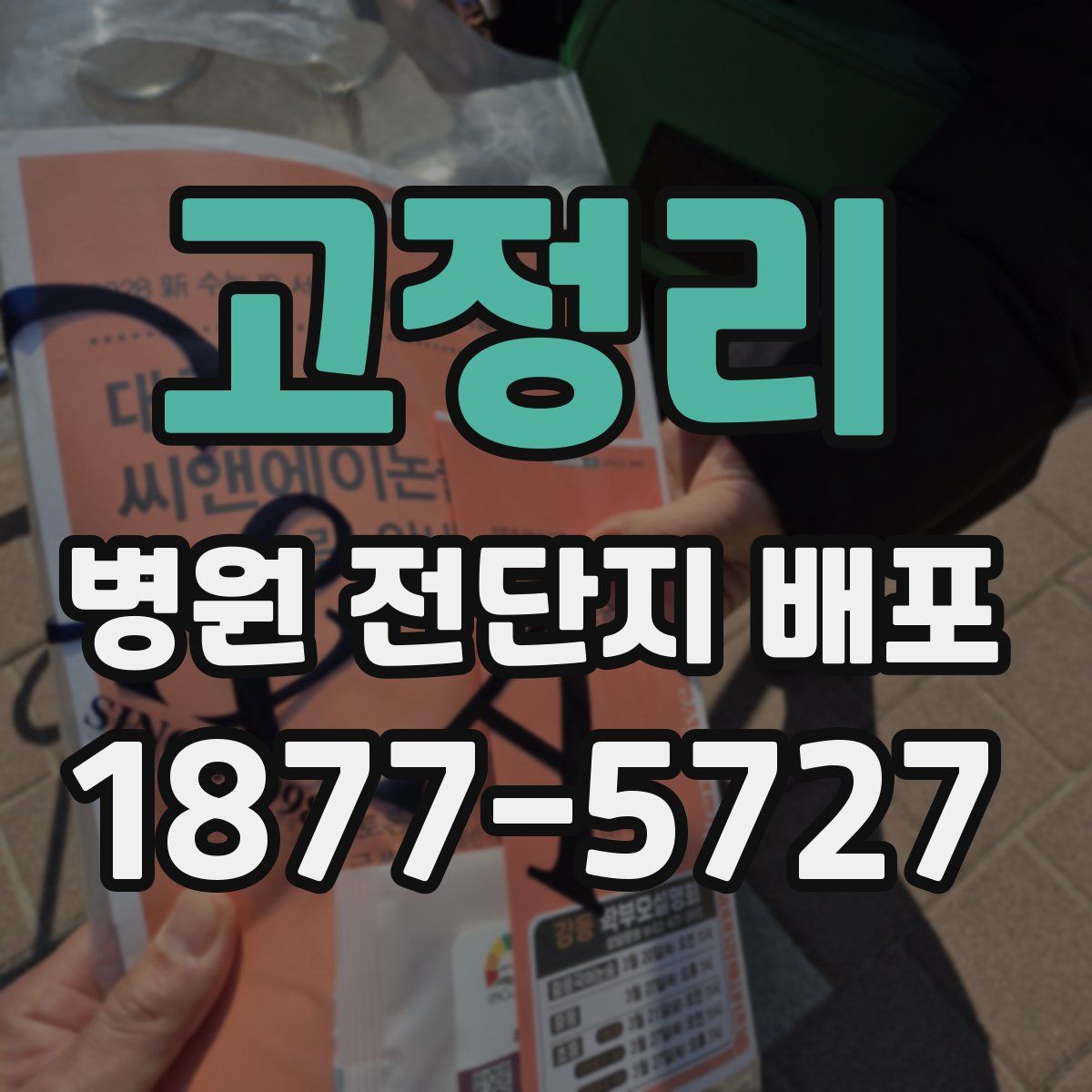 고정리 병원 전단지 배포