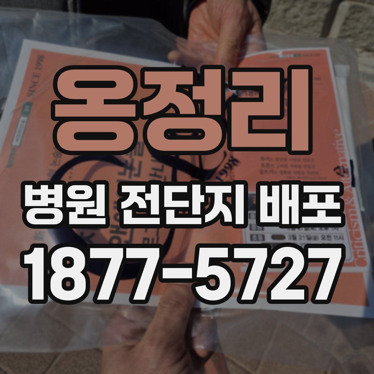 옹정리 병원 전단지 배포