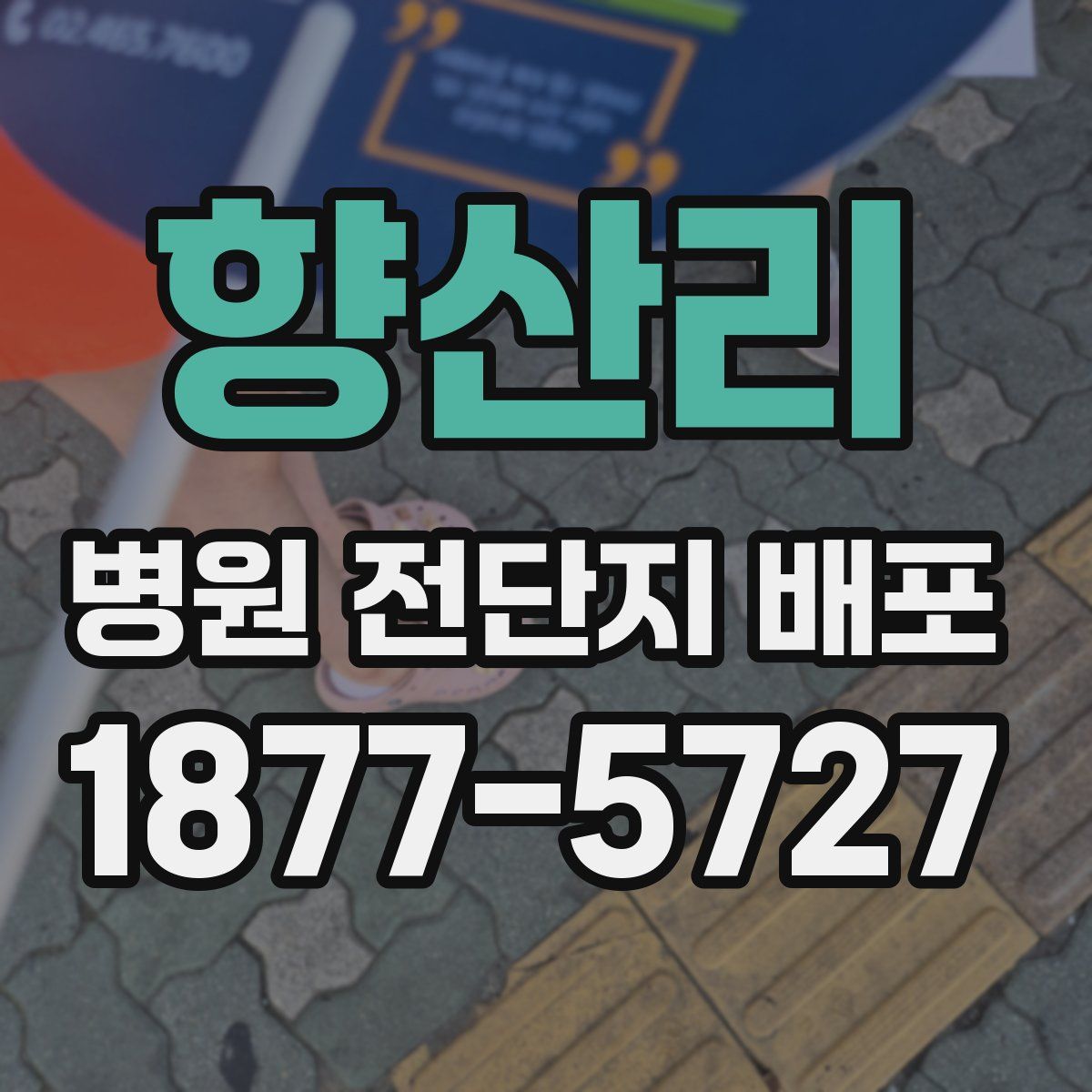 향산리 병원 전단지 배포