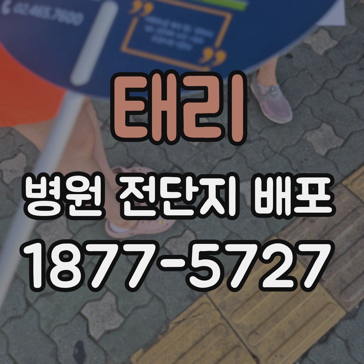 태리 병원 전단지 배포