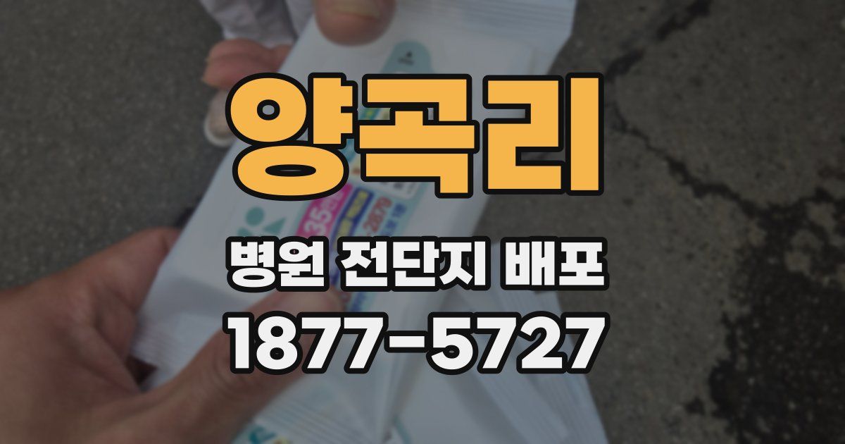 양곡리 병원 전단지 배포