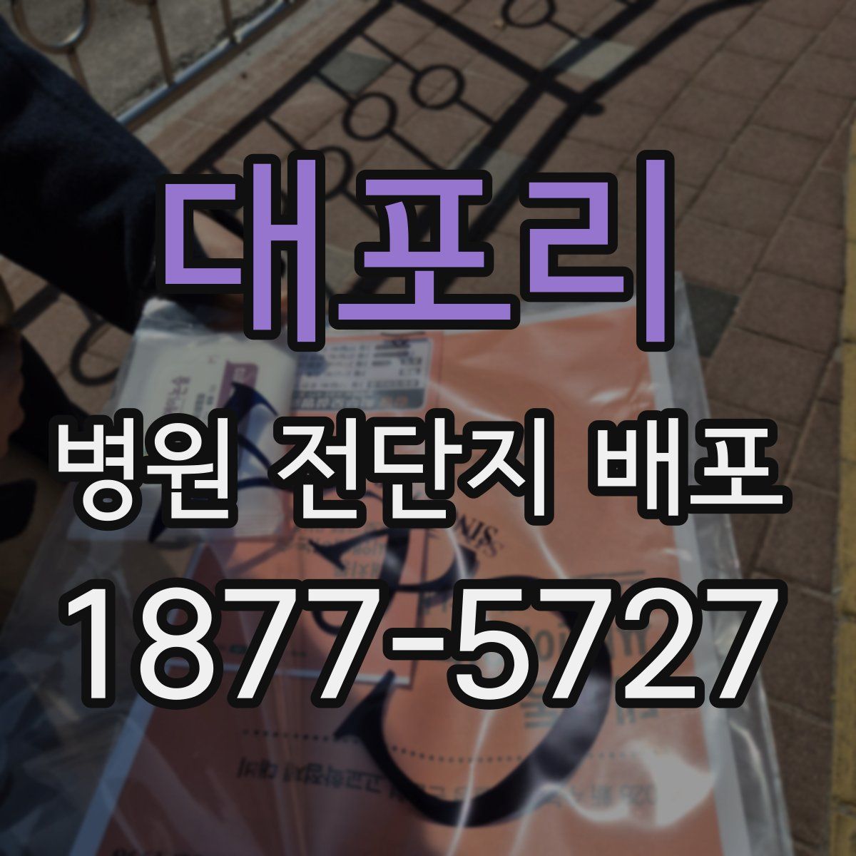 대포리 병원 전단지 배포