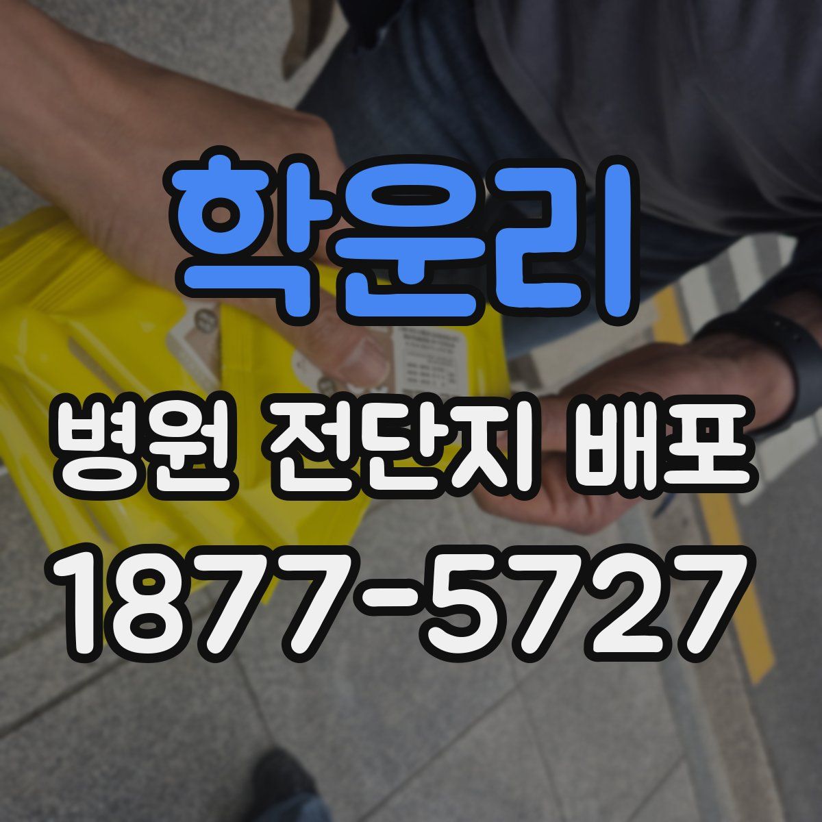 학운리 병원 전단지 배포