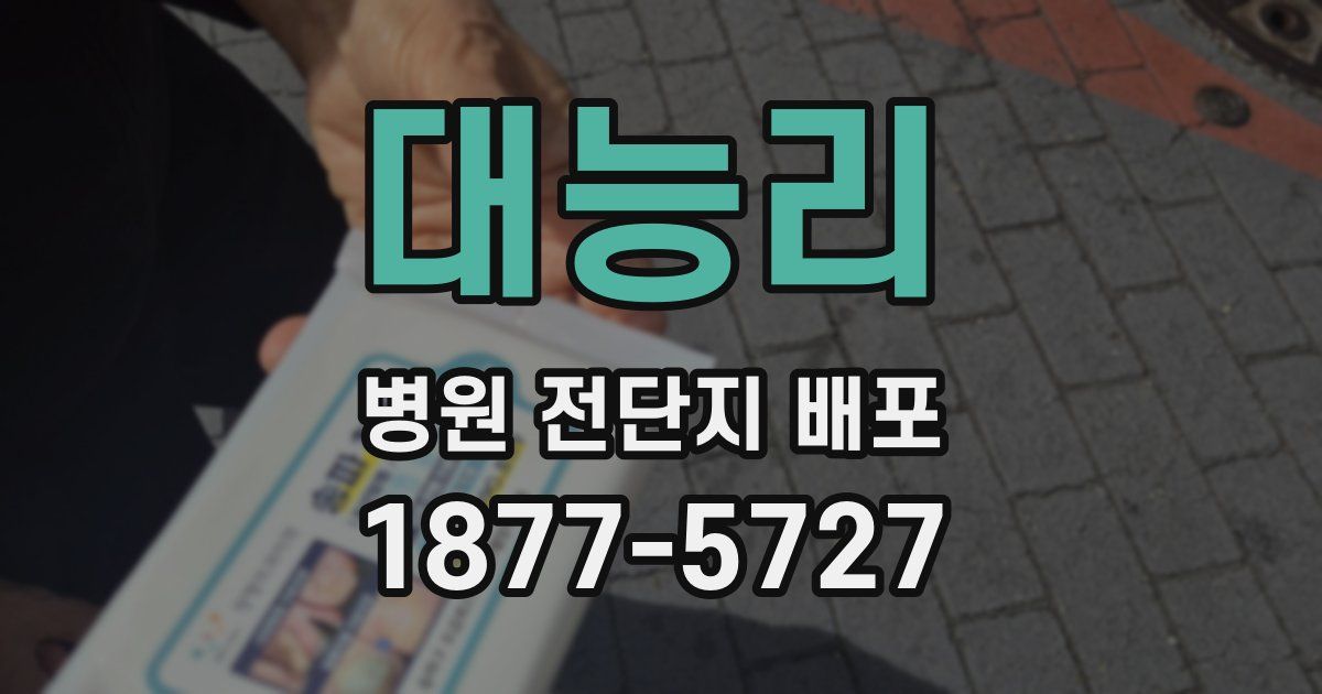대능리 병원 전단지 배포