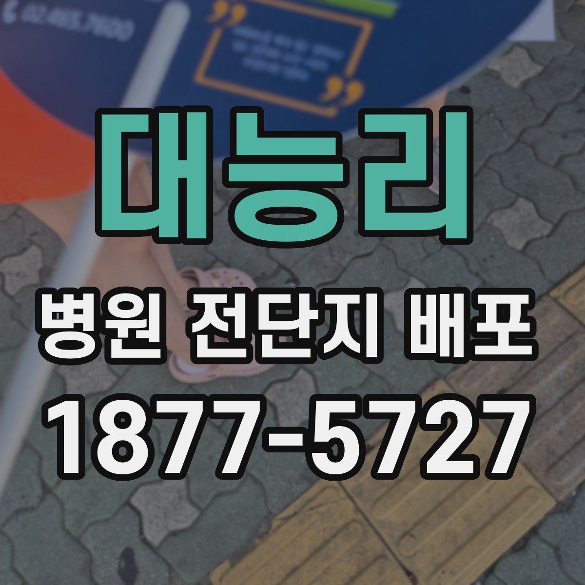 대능리 병원 전단지 배포