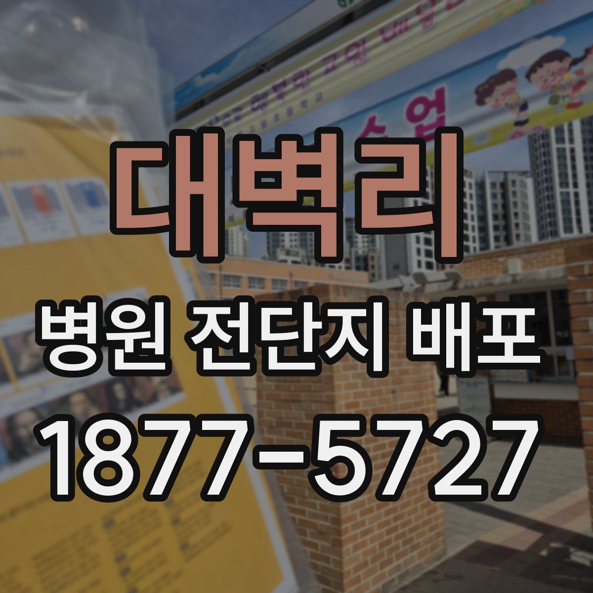 대벽리 병원 전단지 배포