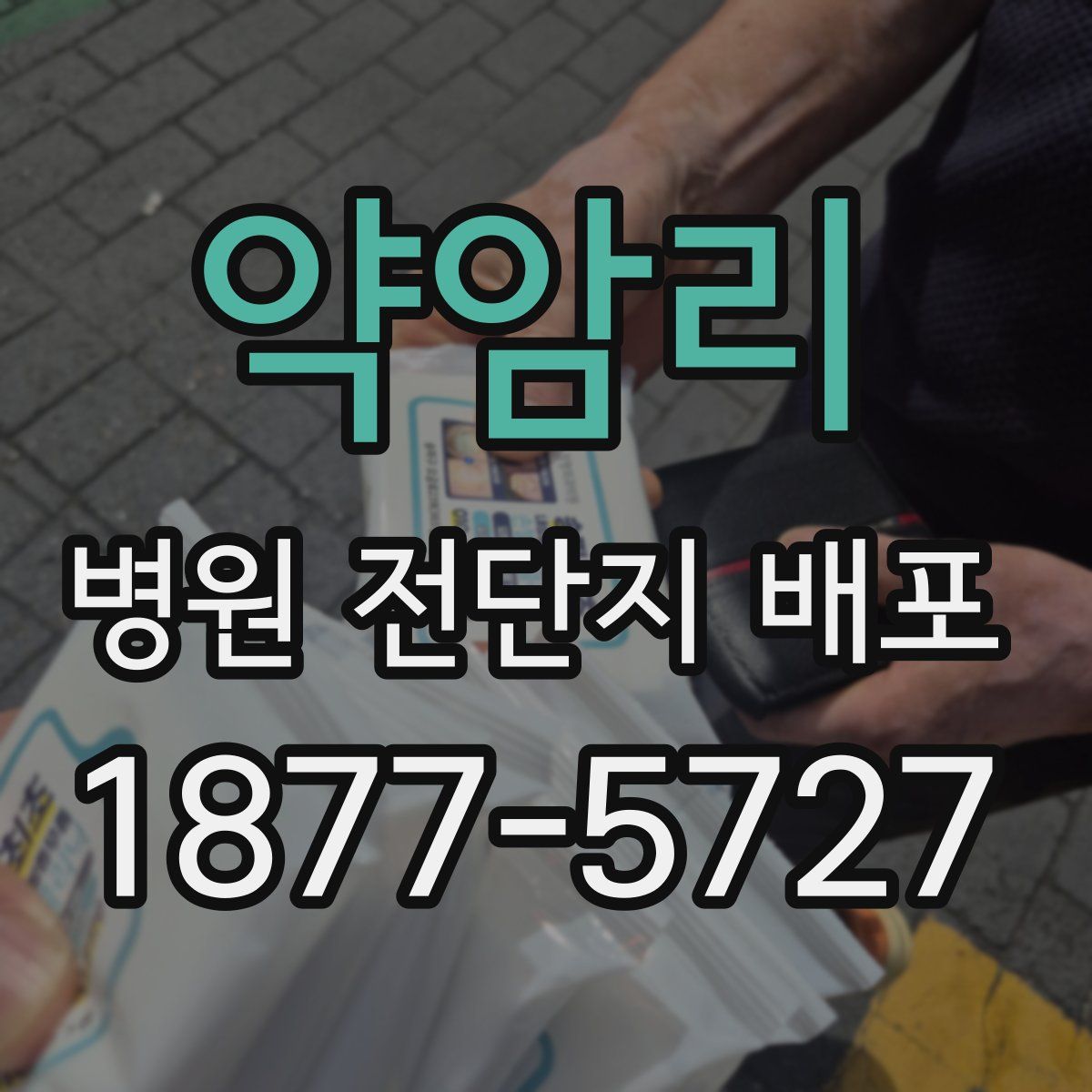 약암리 병원 전단지 배포