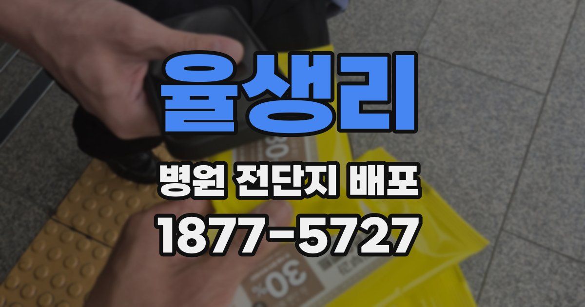 율생리 병원 전단지 배포