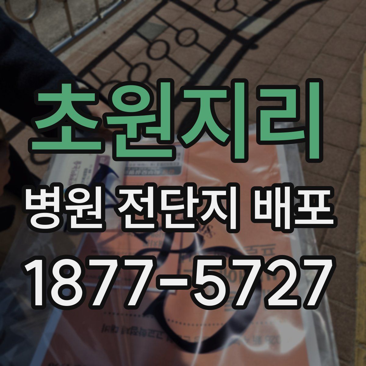 초원지리 병원 전단지 배포
