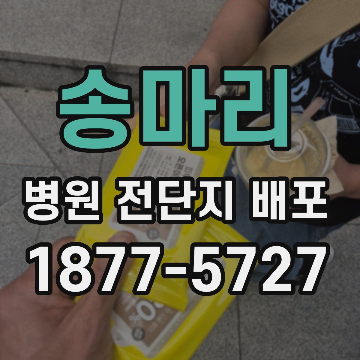 송마리 병원 전단지 배포