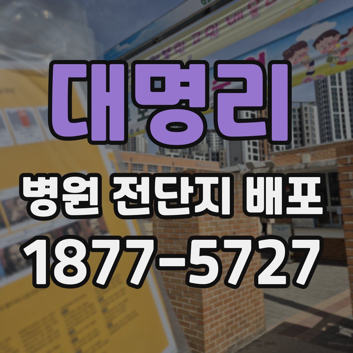 대명리 병원 전단지 배포