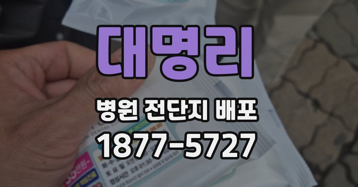 대명리 병원 전단지 배포