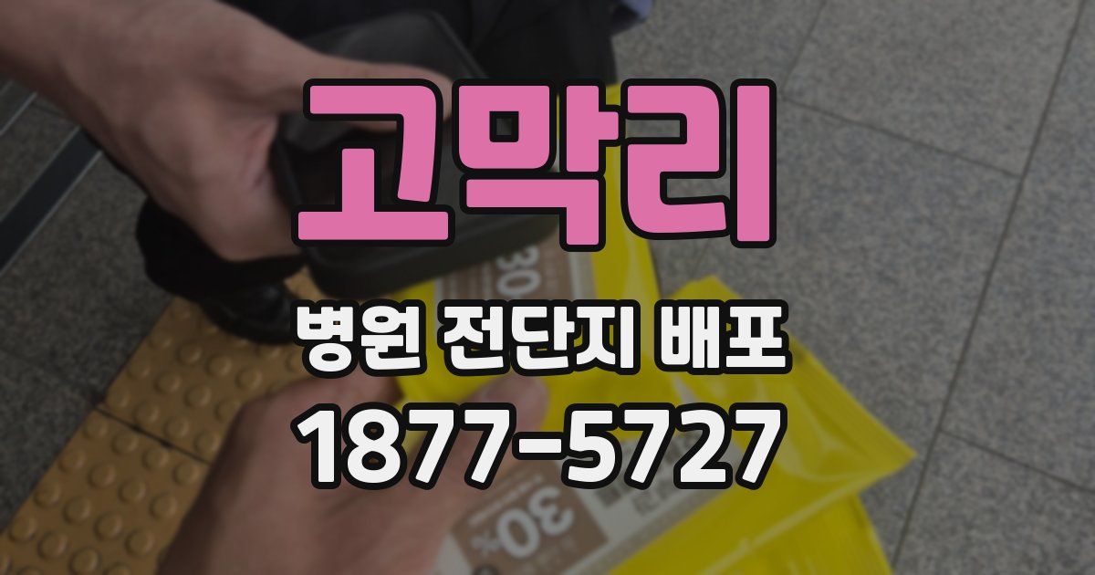 고막리 병원 전단지 배포