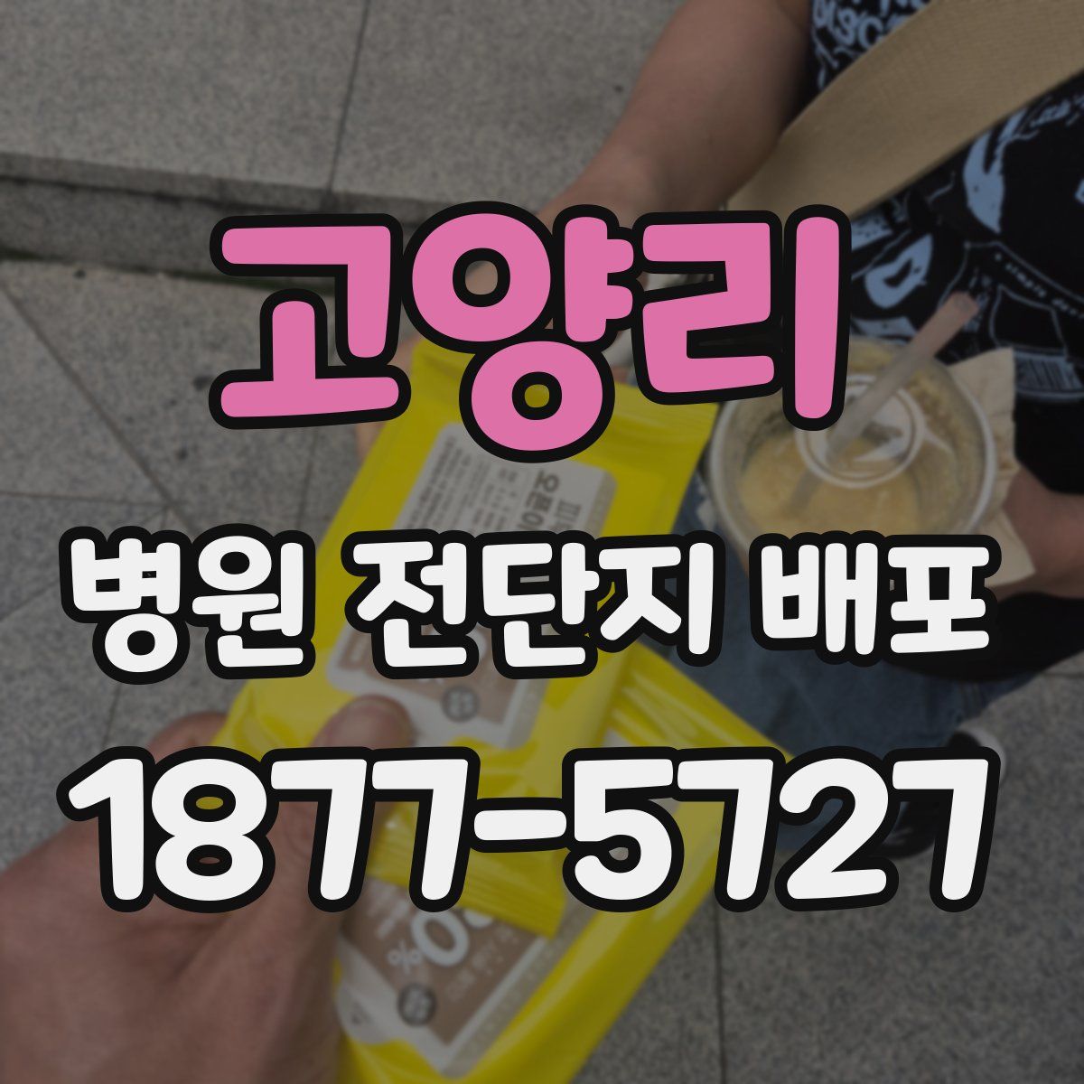 고양리 병원 전단지 배포