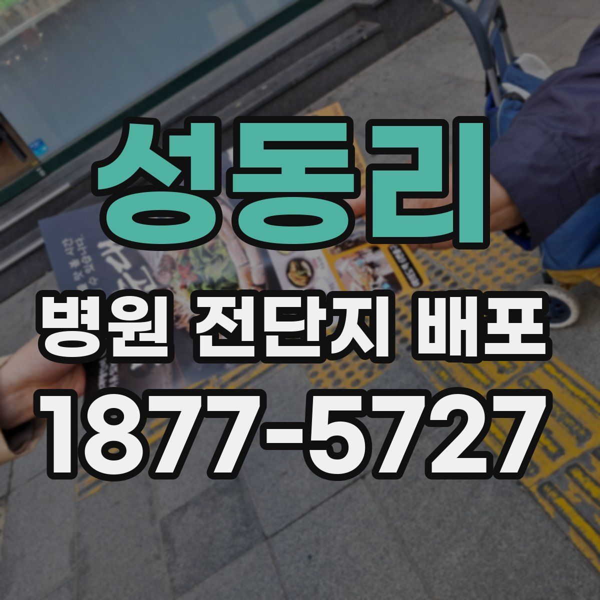 성동리 병원 전단지 배포