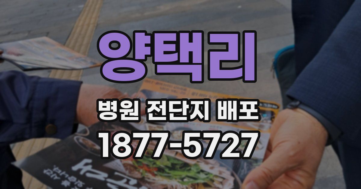 양택리 병원 전단지 배포
