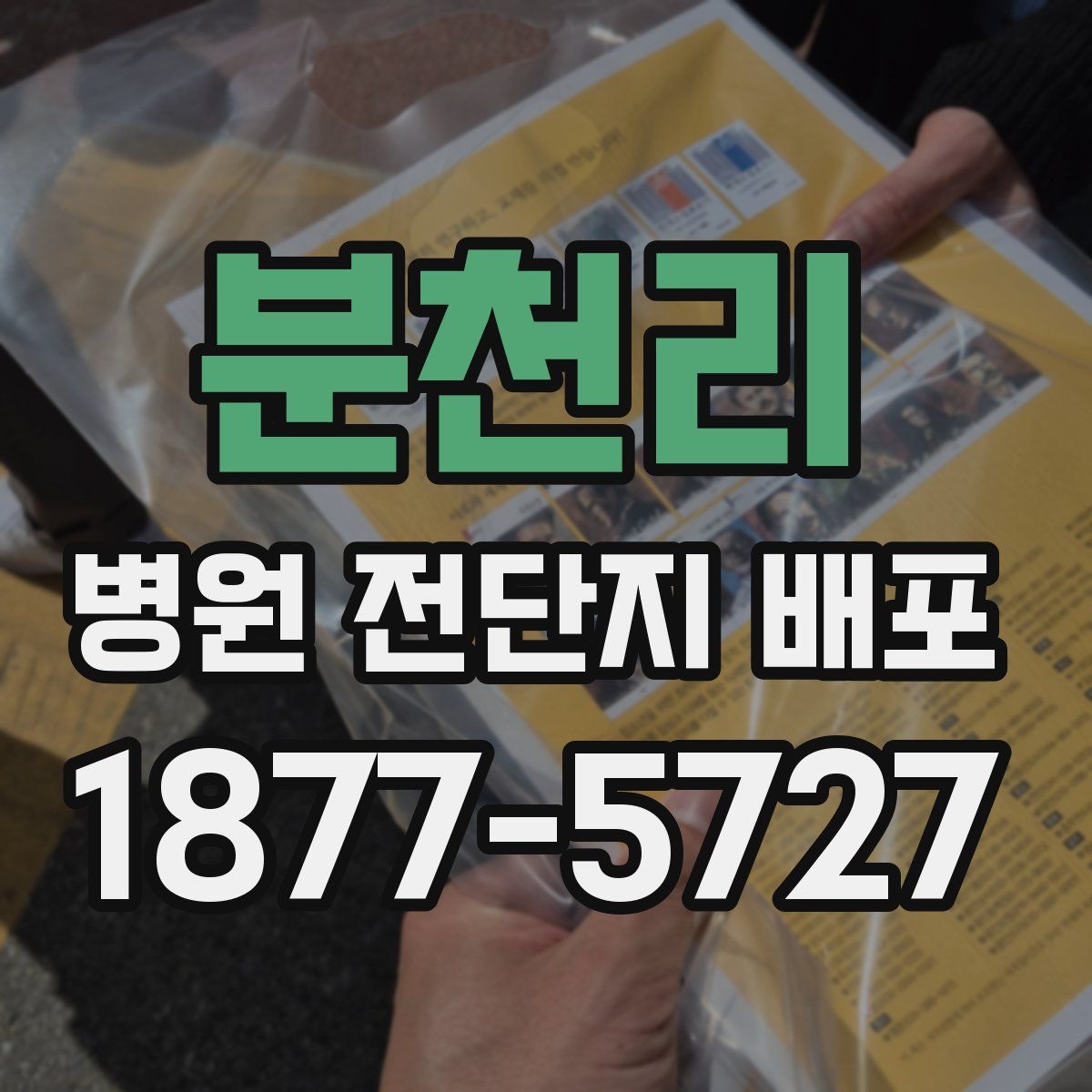 분천리 병원 전단지 배포
