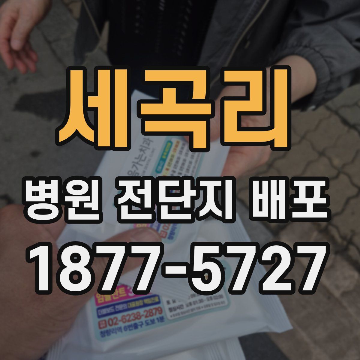 세곡리 병원 전단지 배포