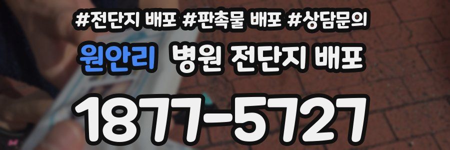 원안리 병원 전단지 배포