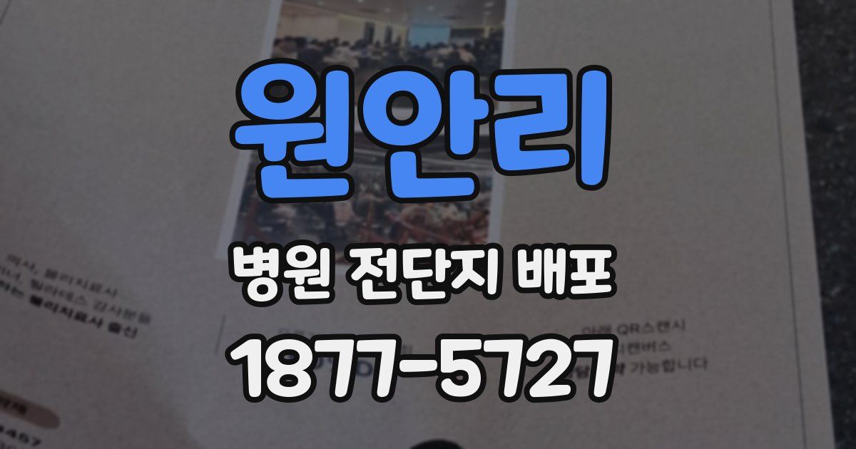 원안리 병원 전단지 배포