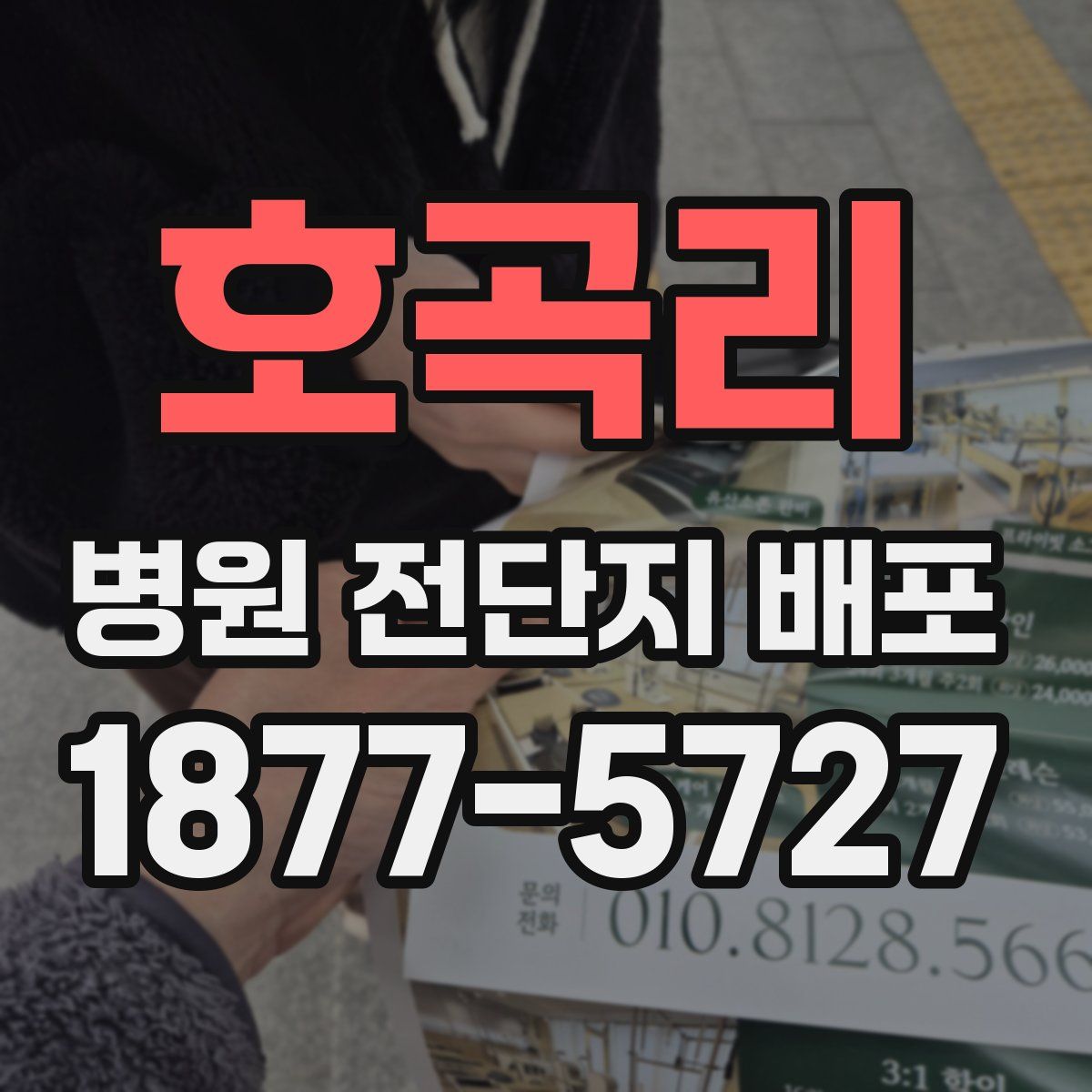 호곡리 병원 전단지 배포