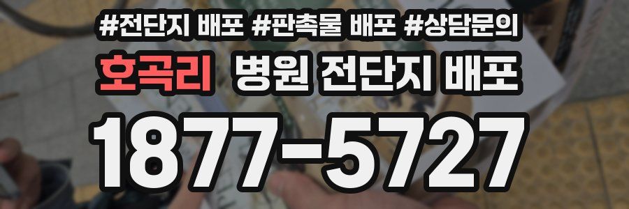 호곡리 병원 전단지 배포