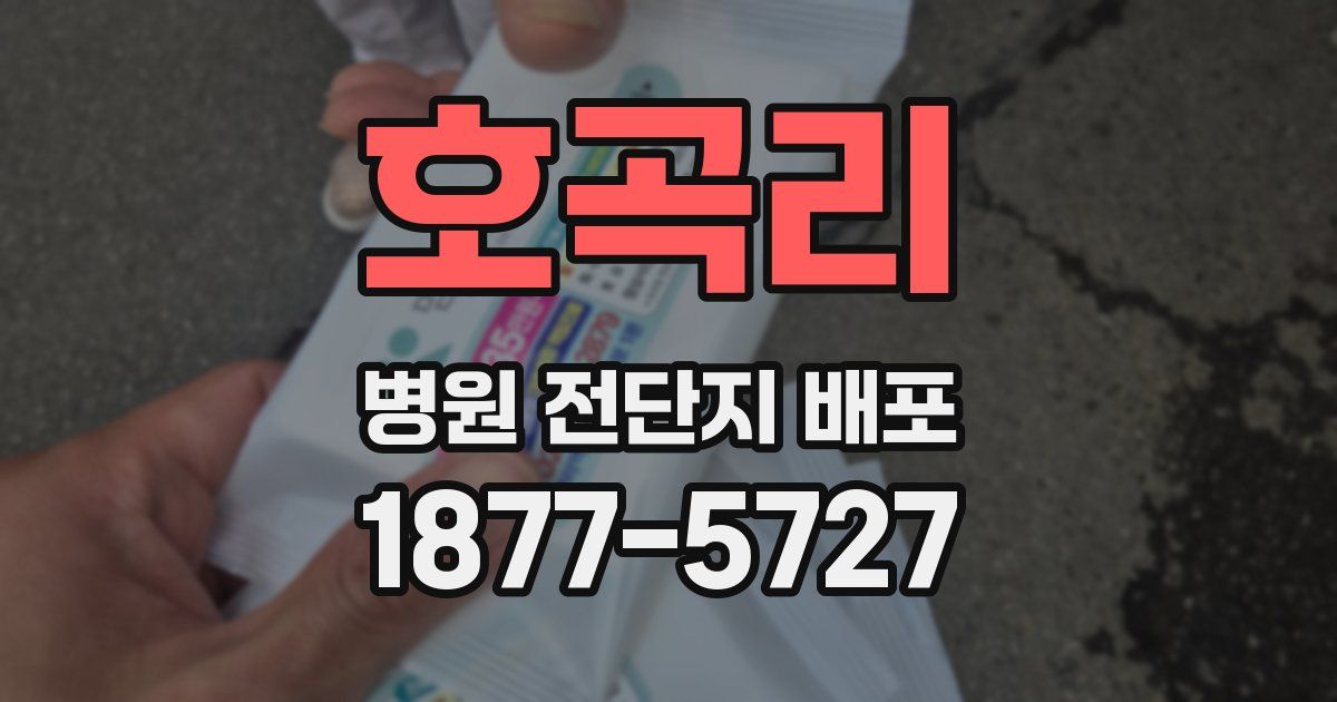 호곡리 병원 전단지 배포