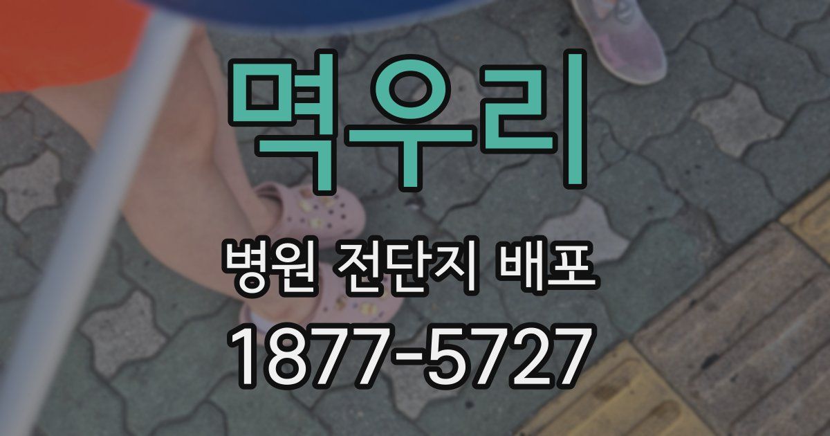 멱우리 병원 전단지 배포