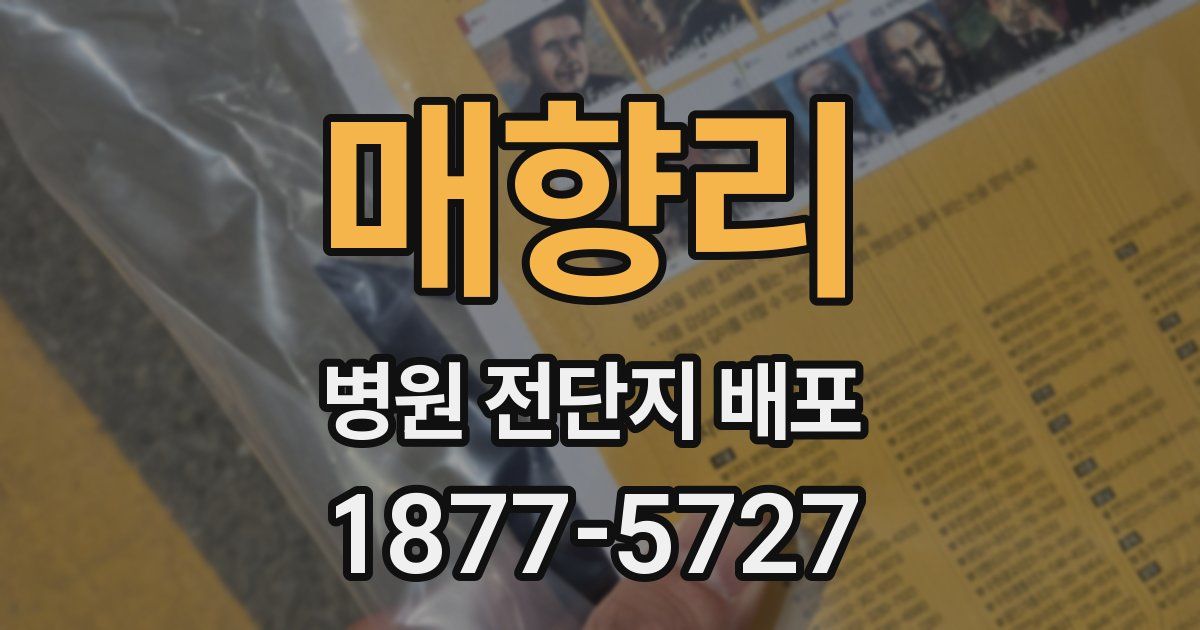 매향리 병원 전단지 배포