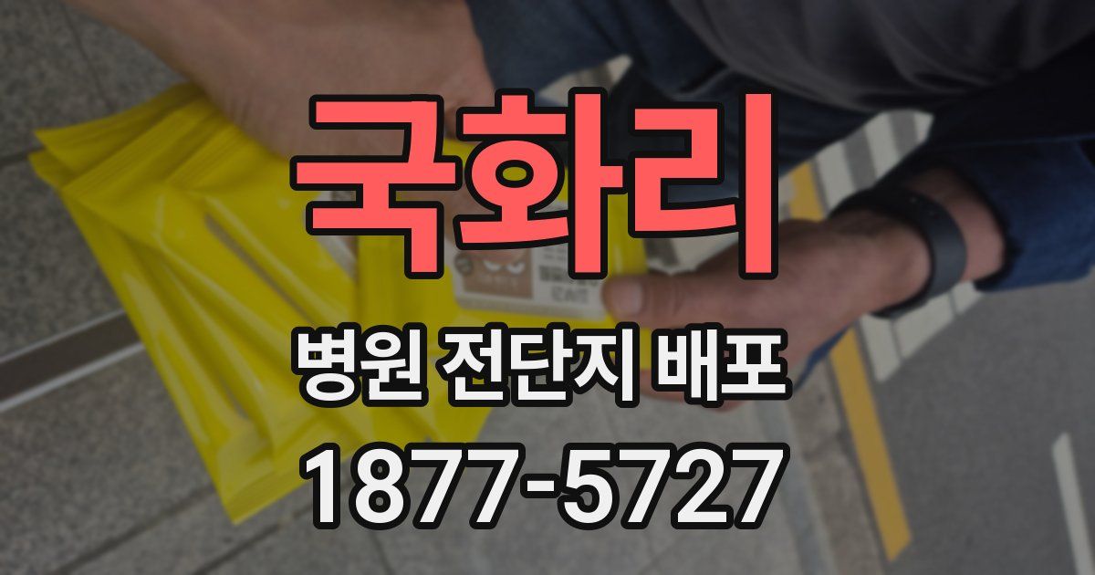 국화리 병원 전단지 배포