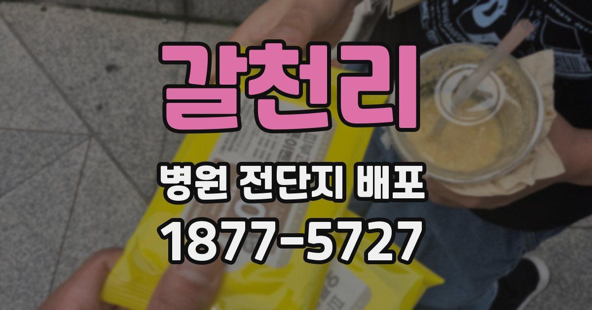 갈천리 병원 전단지 배포