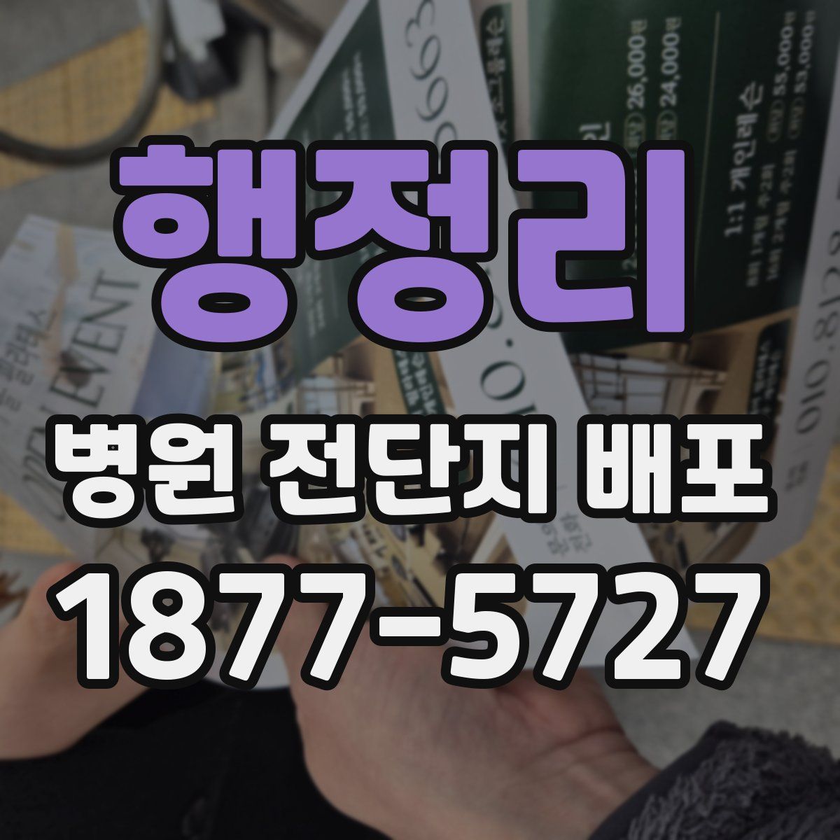 행정리 병원 전단지 배포