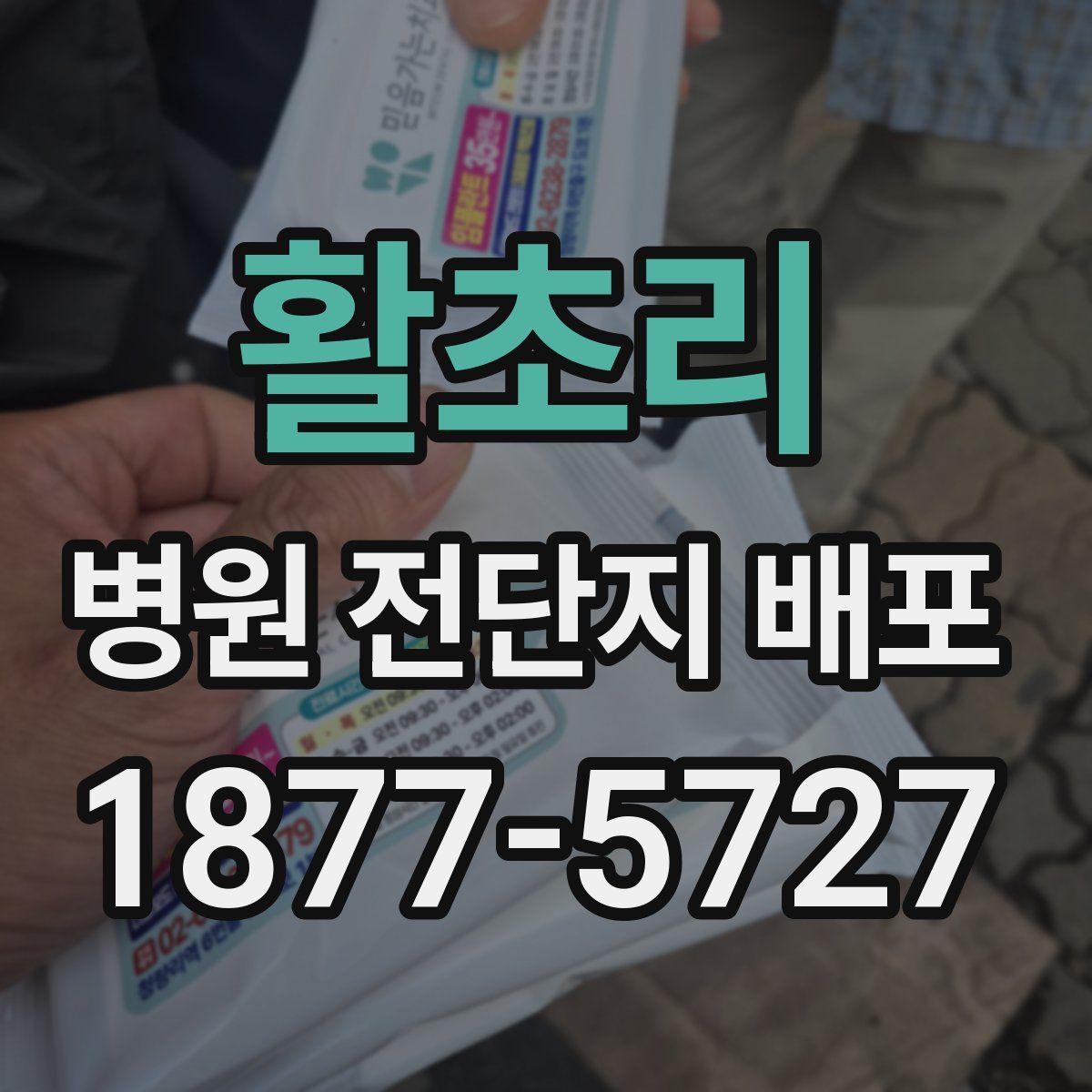 활초리 병원 전단지 배포
