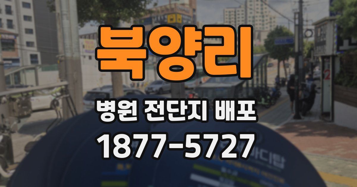 북양리 병원 전단지 배포