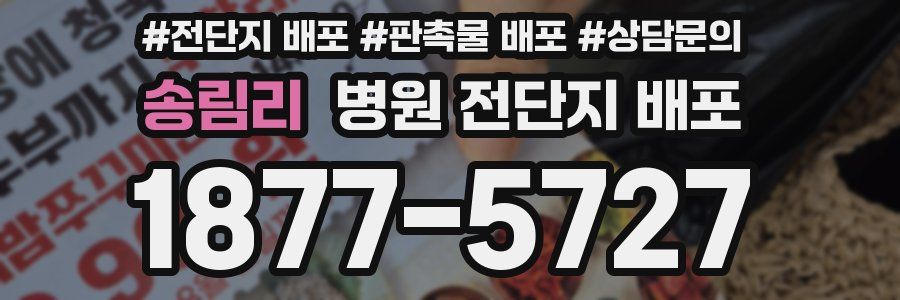 송림리 병원 전단지 배포
