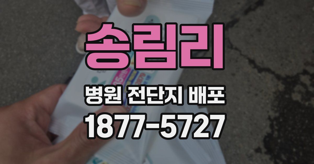 송림리 병원 전단지 배포