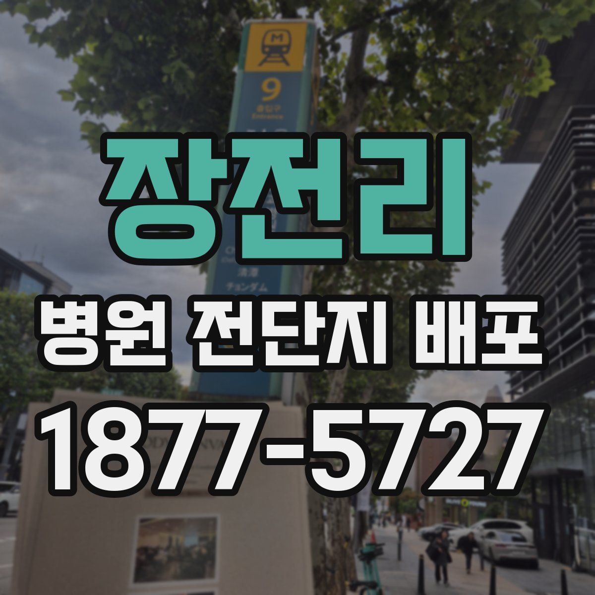 장전리 병원 전단지 배포