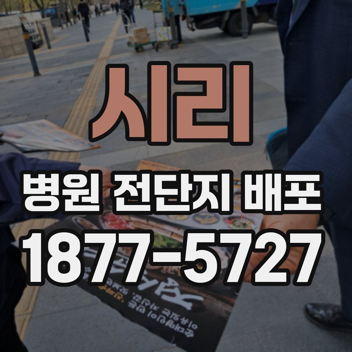 시리 병원 전단지 배포