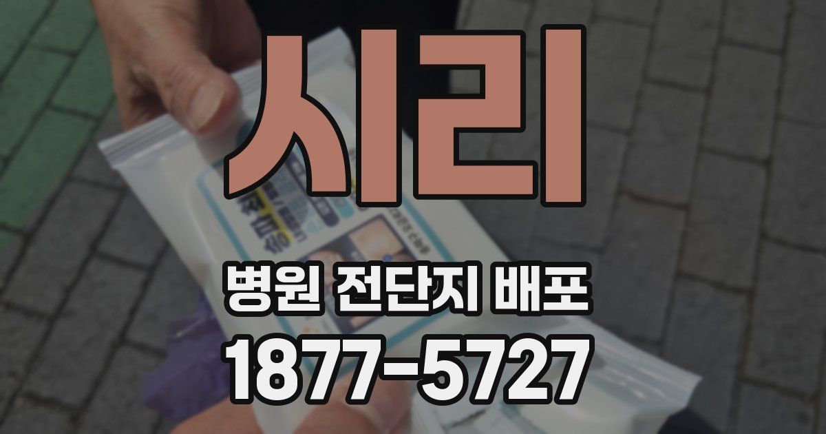 시리 병원 전단지 배포