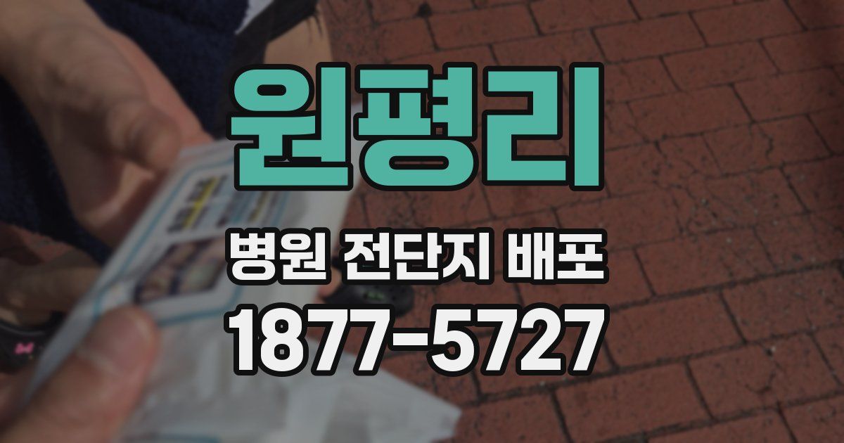 원평리 병원 전단지 배포